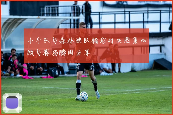 小牛队与森林狼队精彩对决图集回顾与赛场瞬间分享
