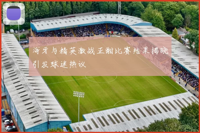 海牙与精英激战正酣比赛结果揭晓引发球迷热议